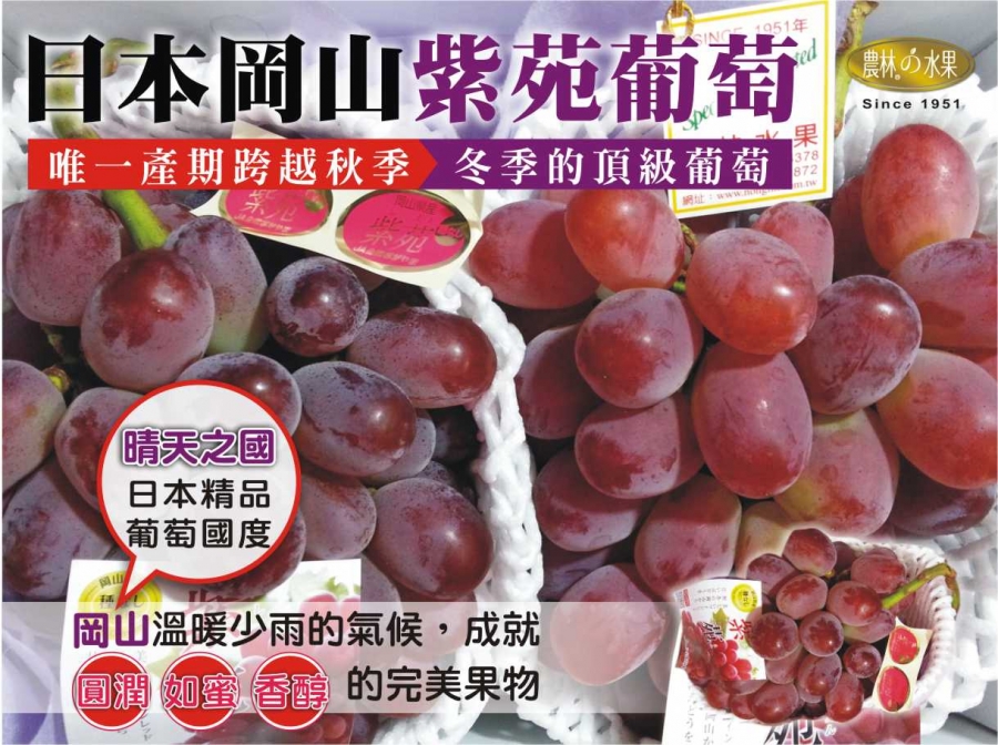 日本葡萄 無籽葡萄 日本水果