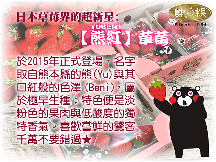 熊本草莓, 日本, 熊本, 熊本熊, 夢未來, 日本熊本草莓, 農林水果