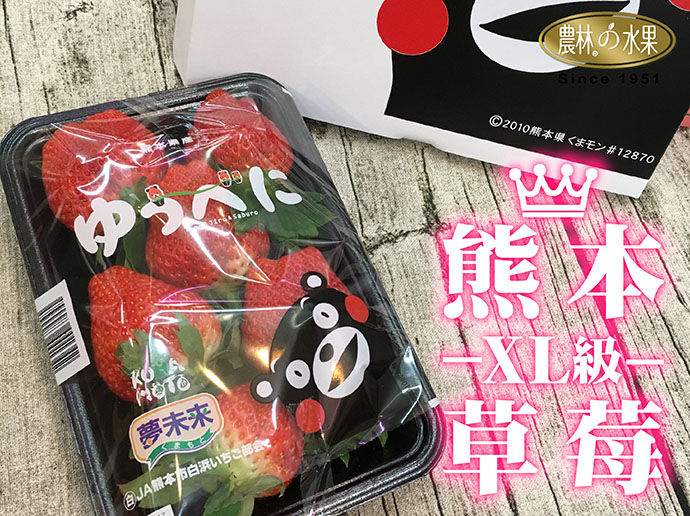 日本草莓 熊本草莓 草莓訂購