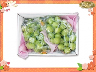 花漾百匯 102 秋脆綠葡萄 ( 無籽 ) 輕盈香氛 經典高級水果禮盒