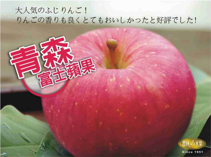 日本青森蘋果 蘋果禮盒 富士蘋果