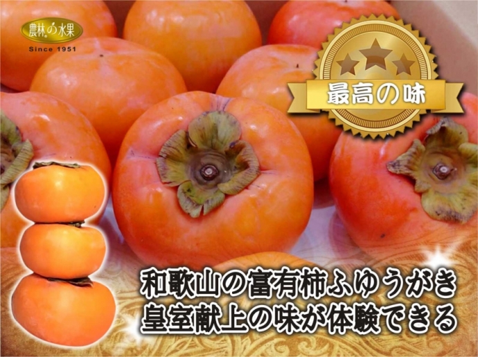 日本柿子 日本甜柿 日本和歌山
