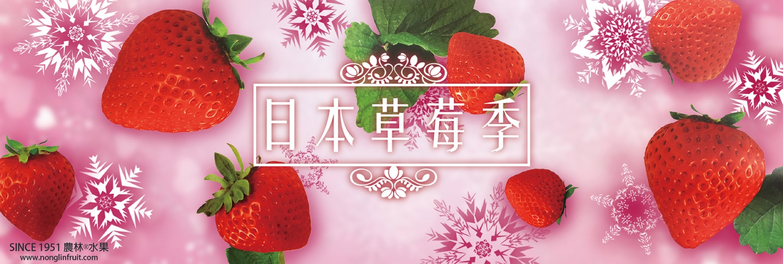冬天日本福岡德島奈良日本草莓季-原
