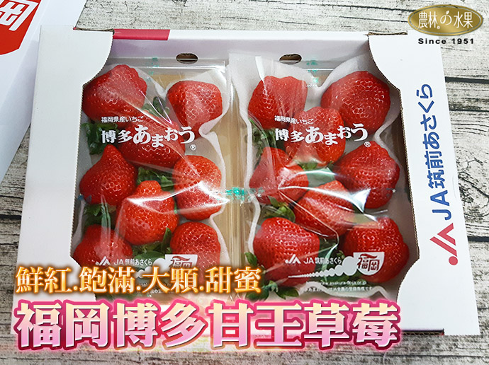 福岡博多甘王草莓
