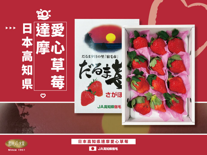 日本高知縣 愛心草莓達摩