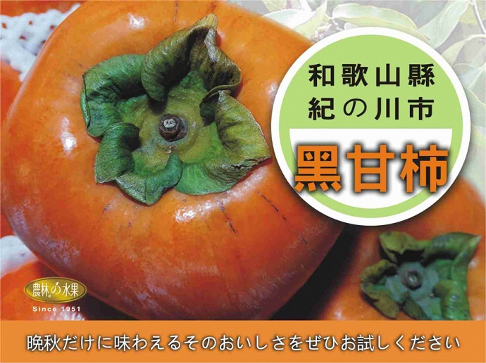 日本水果禮盒 日本甜柿水果禮盒 日本黑糖柿水果禮盒 探病水果禮盒 當季水果禮盒 探病提親水果伴手禮水果禮盒