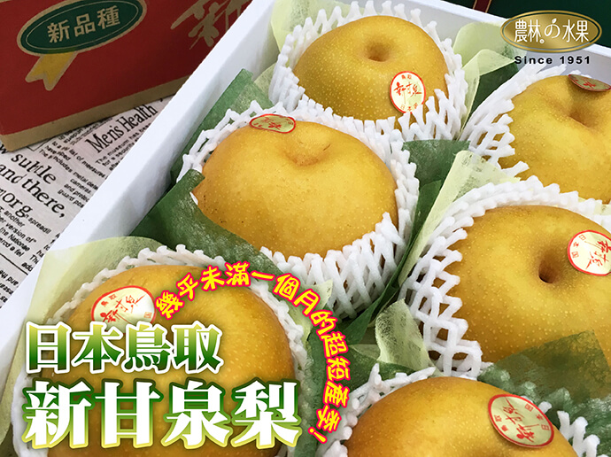 日本新甘泉梨 當季水果禮盒 日本進口水果