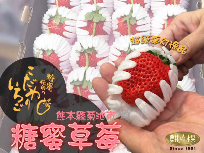 糖蜜草莓 日本草莓 進口草莓