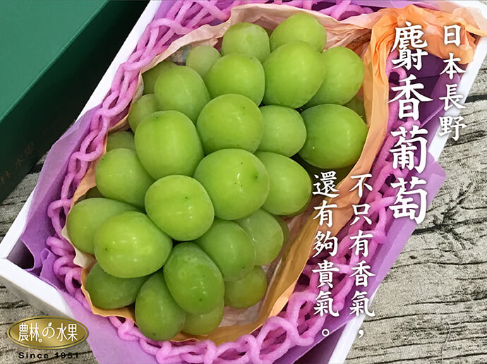 日本國內最高等級 新鮮空運長野縣或山梨縣 麝香葡萄禮盒