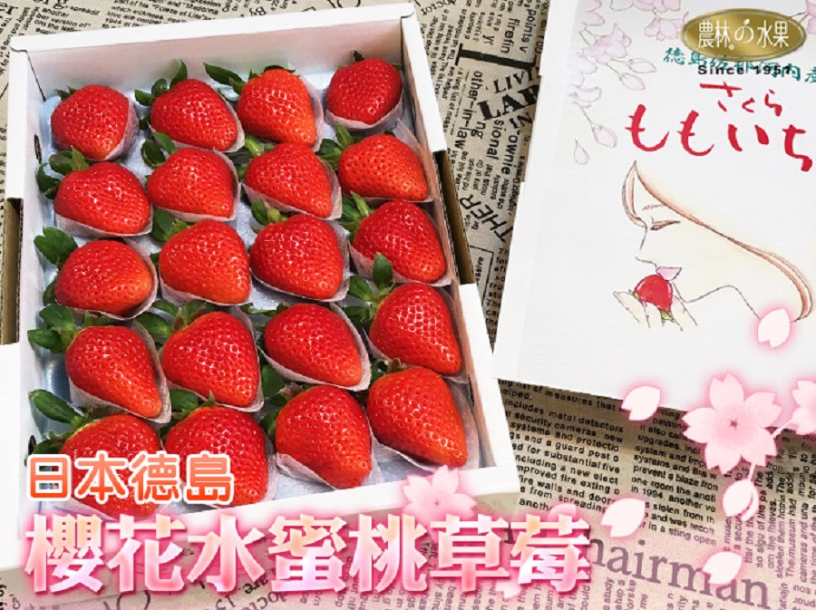 德島-水蜜桃草莓-櫻花-櫻花水蜜桃草莓-草莓-日本草莓-農林水果