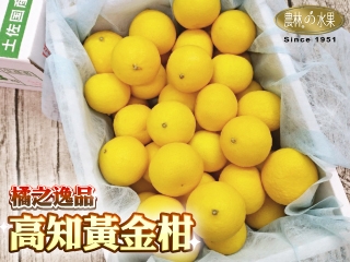 日本高知縣產 黃金柑 貴婦柑 帶有濃濃檸檬清香 超甜蜜帶點微酸(黃金小蜜柑)禮盒精美包裝-農林水果空運日本最新當季水果 新鮮直送