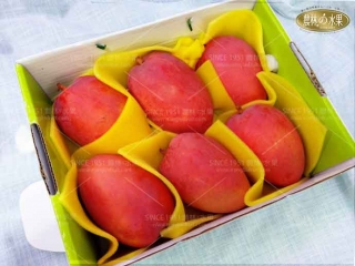 《此項商品已售完-請回主頁選購》夏季經典禮盒-台灣精品水蜜桃芒果  ( 3入裝 或 5、6入不指定裝 ) 水果禮盒