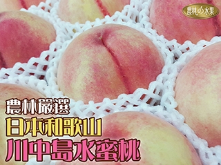 和歌山 川中島水蜜桃 超夢幻的粉白暈染色澤 藏不住的芬芳蜜桃香 高級空運日本水蜜桃