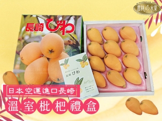 日本長崎溫室枇杷 12入 原裝禮盒 - 精品水果禮盒專家 - 農林水果 高級水果禮盒 進口水果禮盒