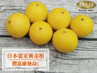 日本溫室黃金柑*6顆